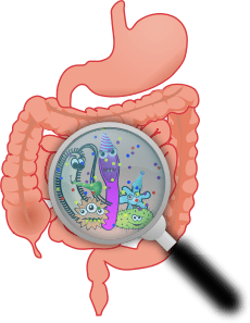 You don't have to go home, but you can't stay here.